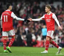 db游戏平台官网-德国杯赛程吃紧，尼斯清晨伤情更新，引发热议，更衣室氛围转暖